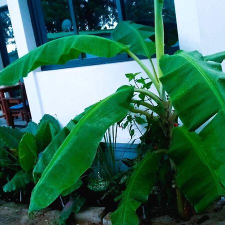 Bungalow Ramena Beach Antsiranana Andjamen Ngoại thất bức ảnh