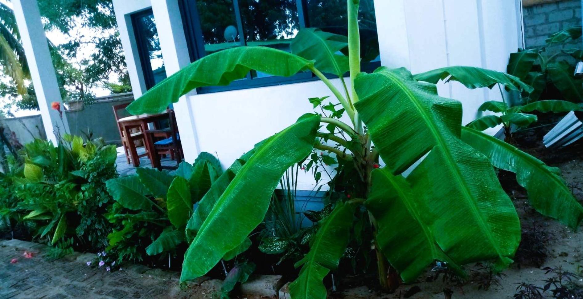 Bungalow Ramena Beach Antsiranana Andjamen Ngoại thất bức ảnh