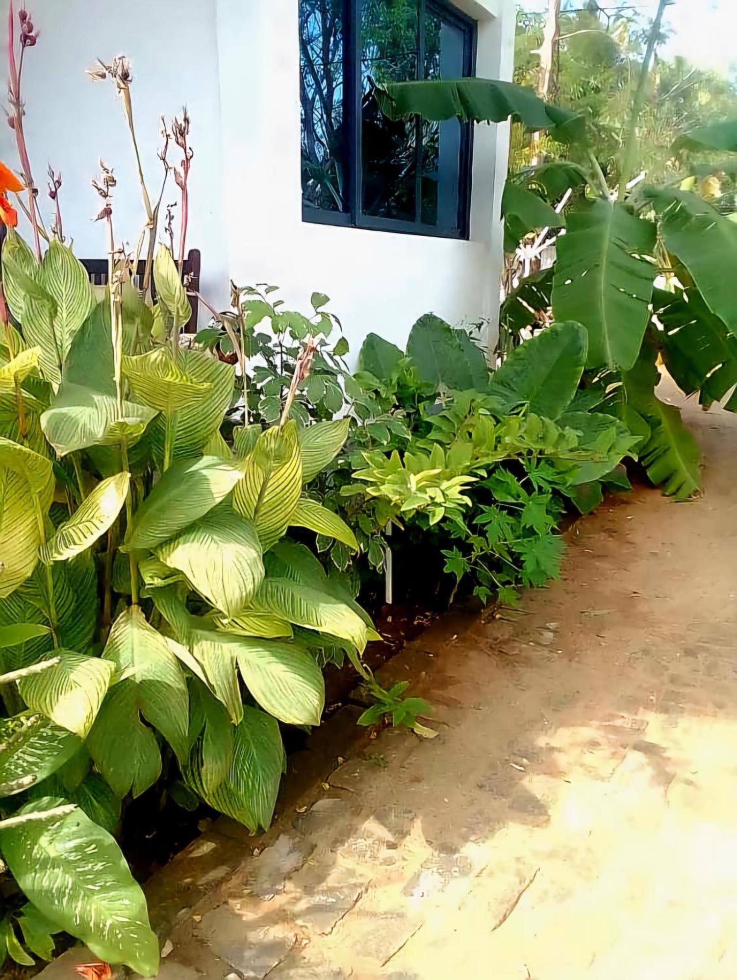 Bungalow Ramena Beach Antsiranana Andjamen Ngoại thất bức ảnh